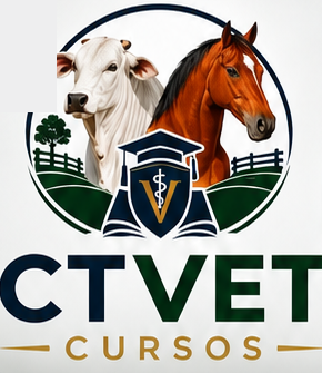CTVET Cursos